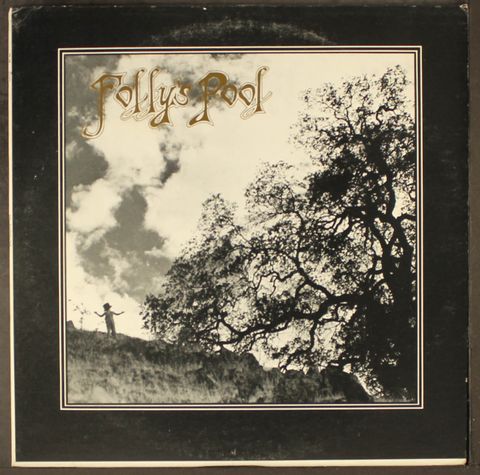FOLLY'S POOL