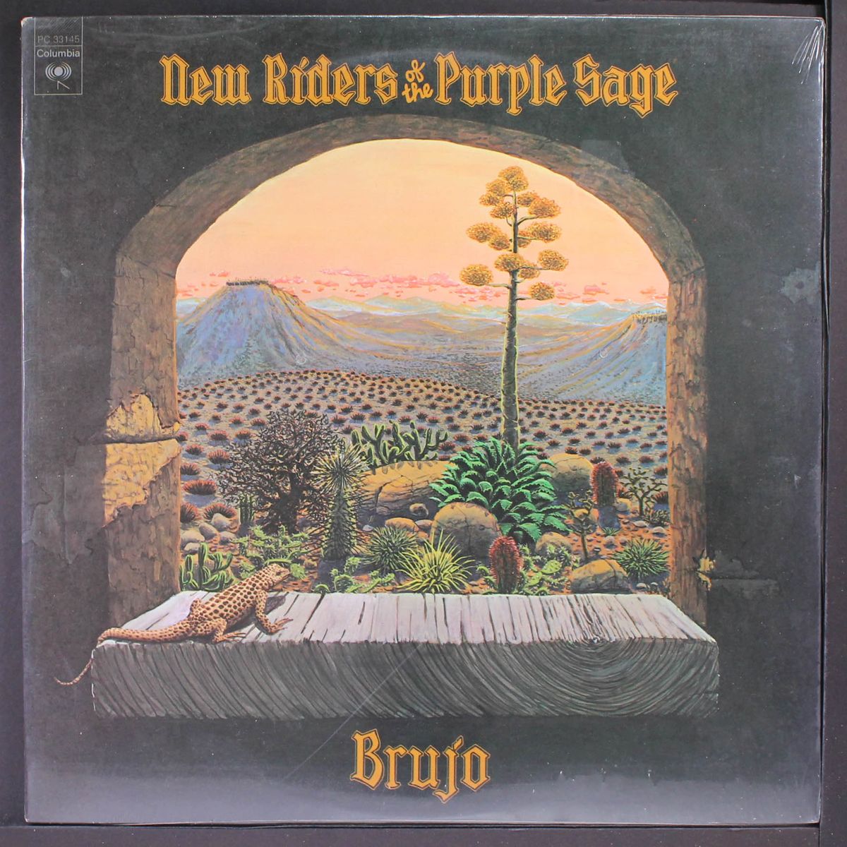 brujo by NEW RIDERS OF PURPLE SAGE