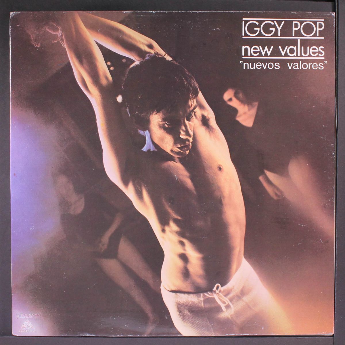 new values (nuevos valores) by IGGY POP