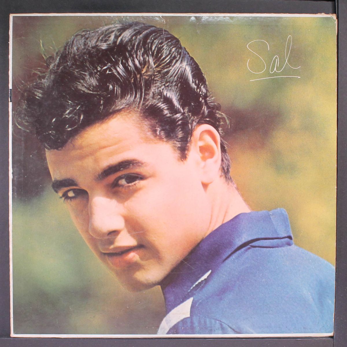sal by SAL MINEO