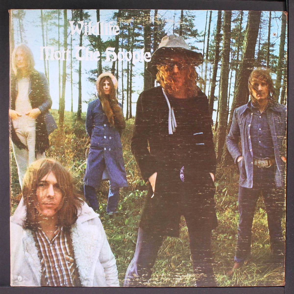 wildlife by MOTT THE HOOPLE