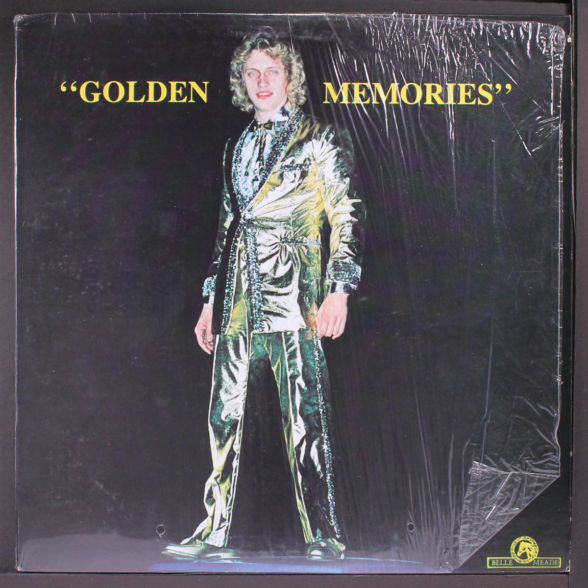 golden memories by PAUL DRAGON