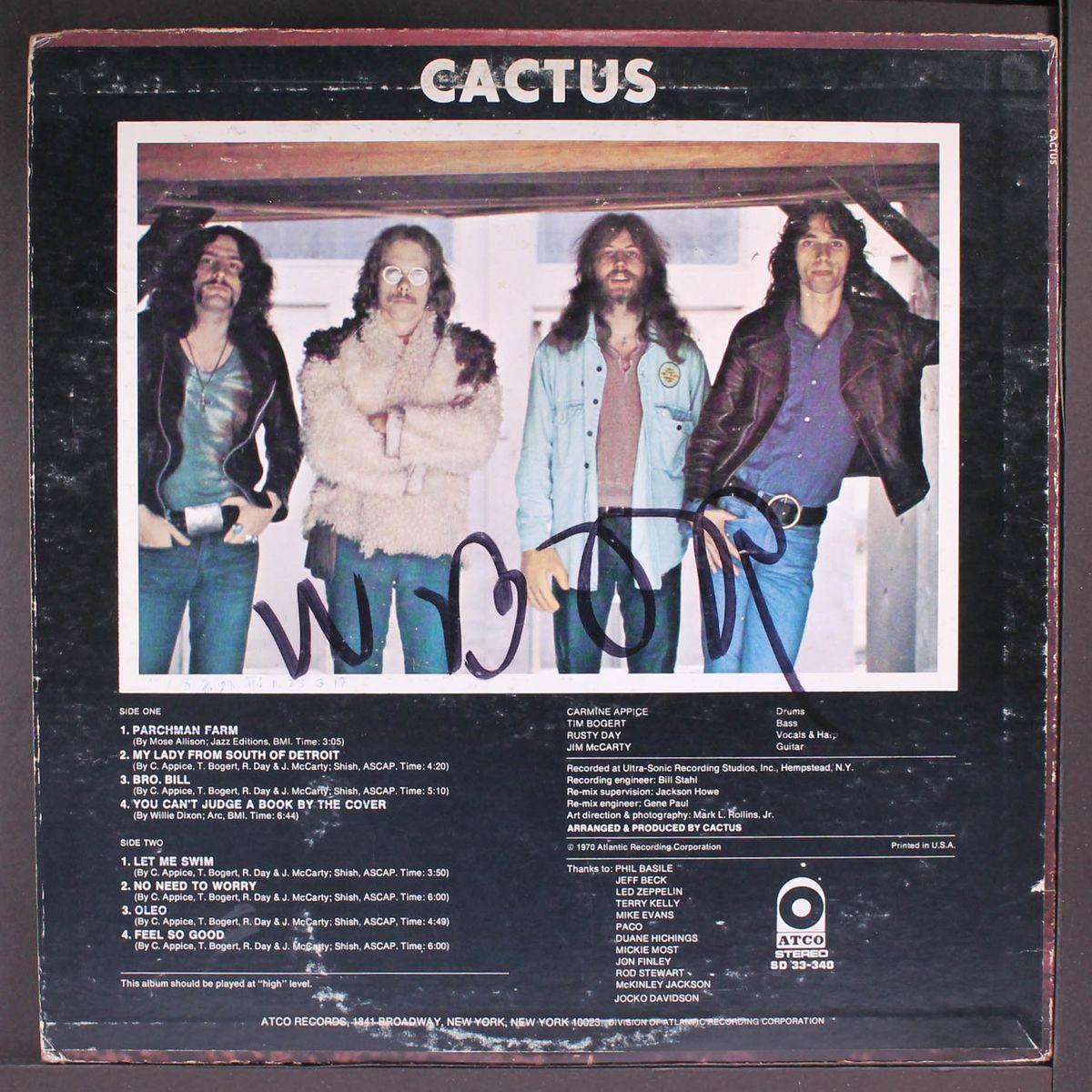 cactus by CACTUS