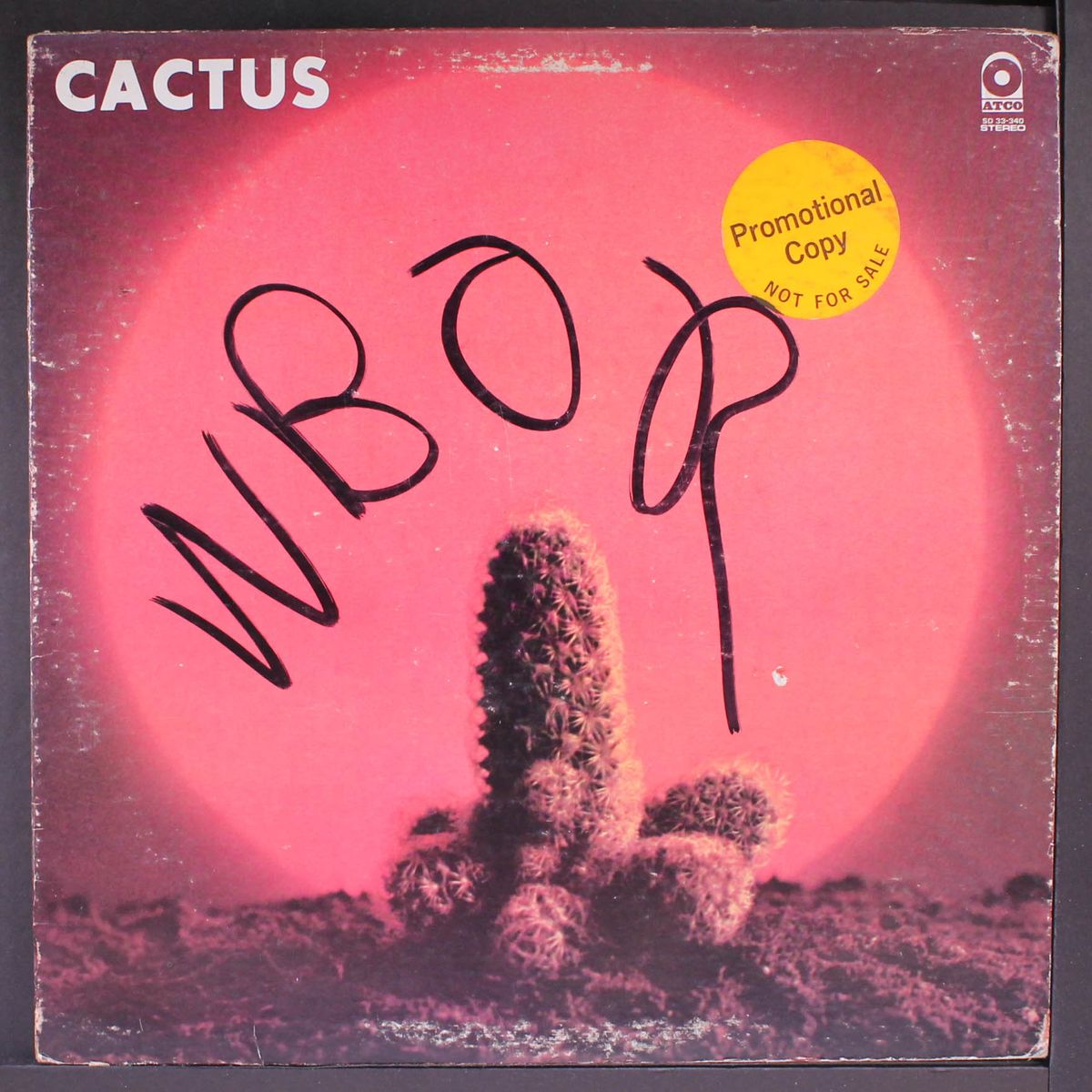 cactus by CACTUS