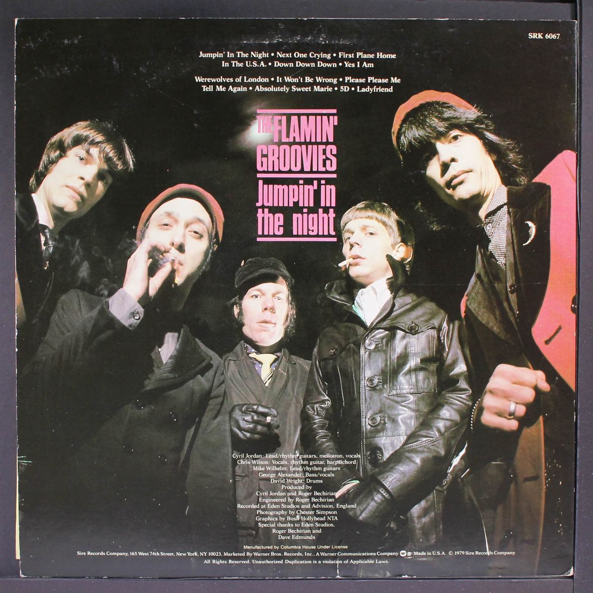 jumpin' in the night by FLAMIN' GROOVIES