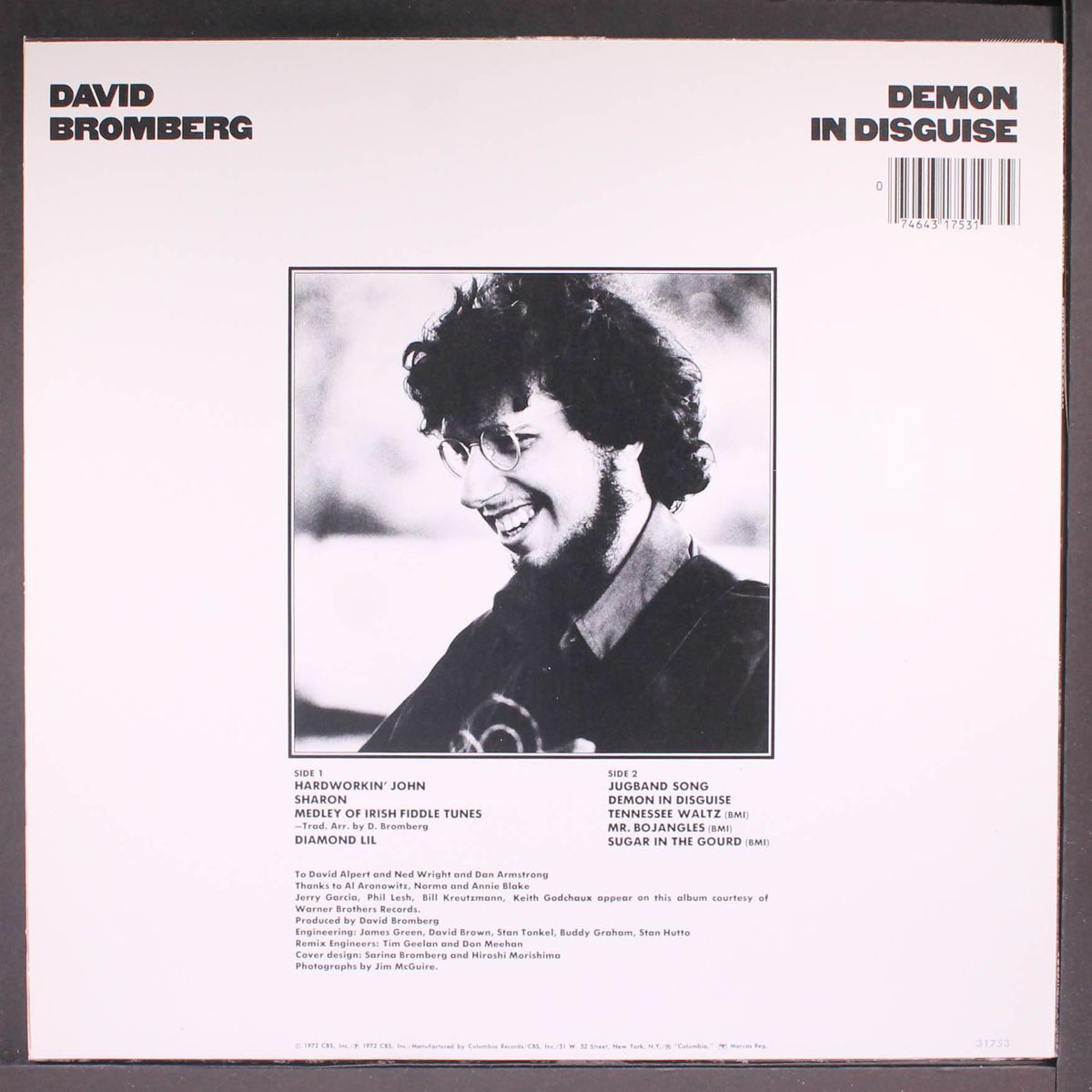 demon in disguise by DAVID BROMBERG