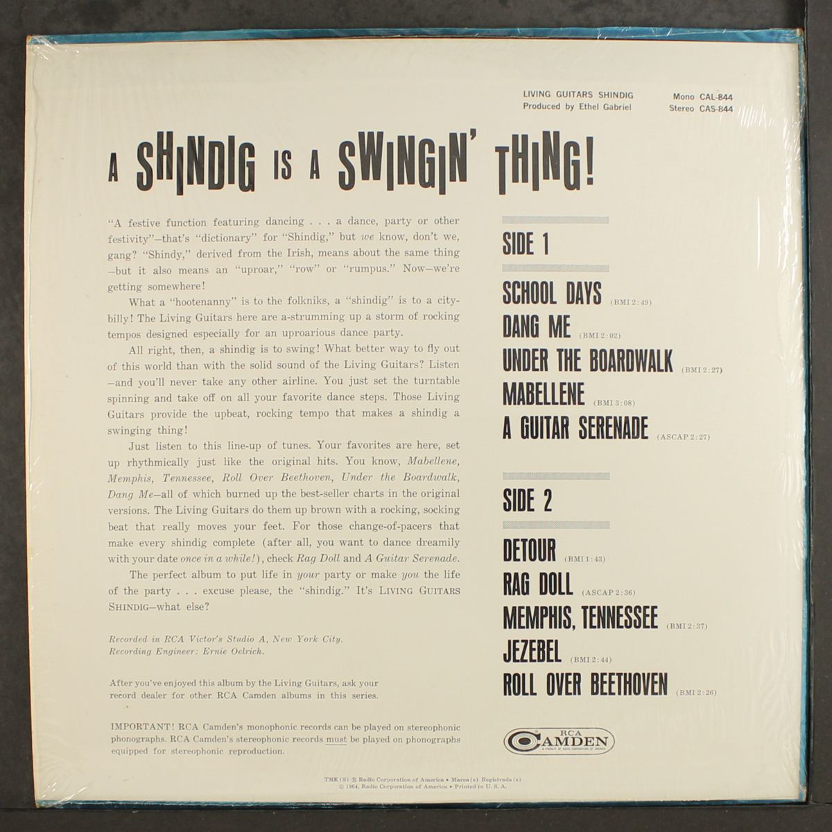 shindig by LIVING GUITARS