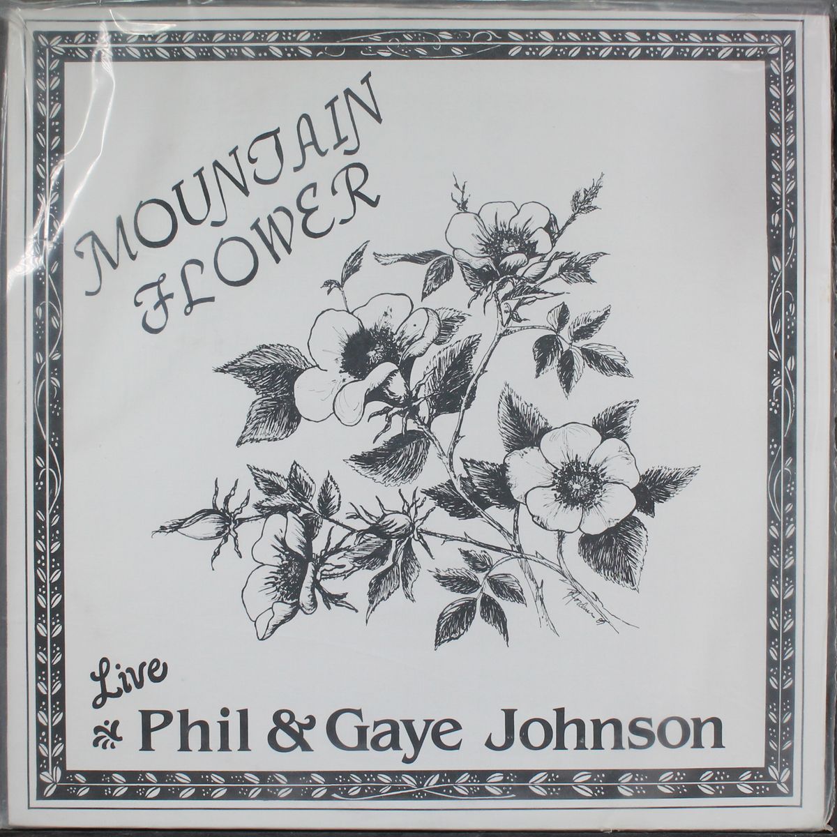 mountain flower - live by PHIL & GAYE JOHNSON