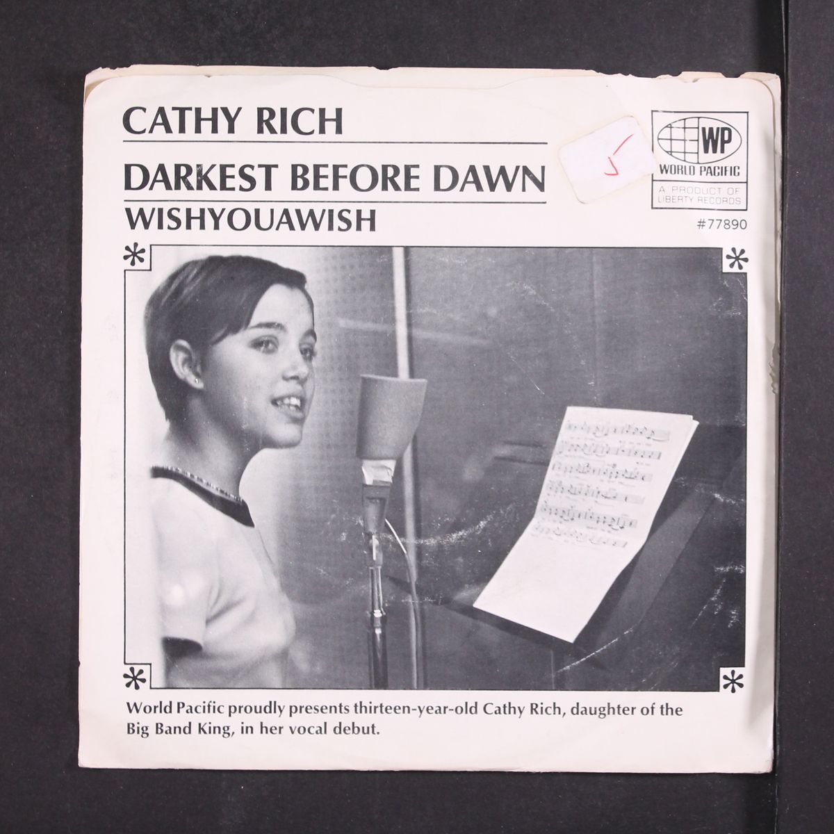 darkest before dawn / wishyouawish by CATHY RICH