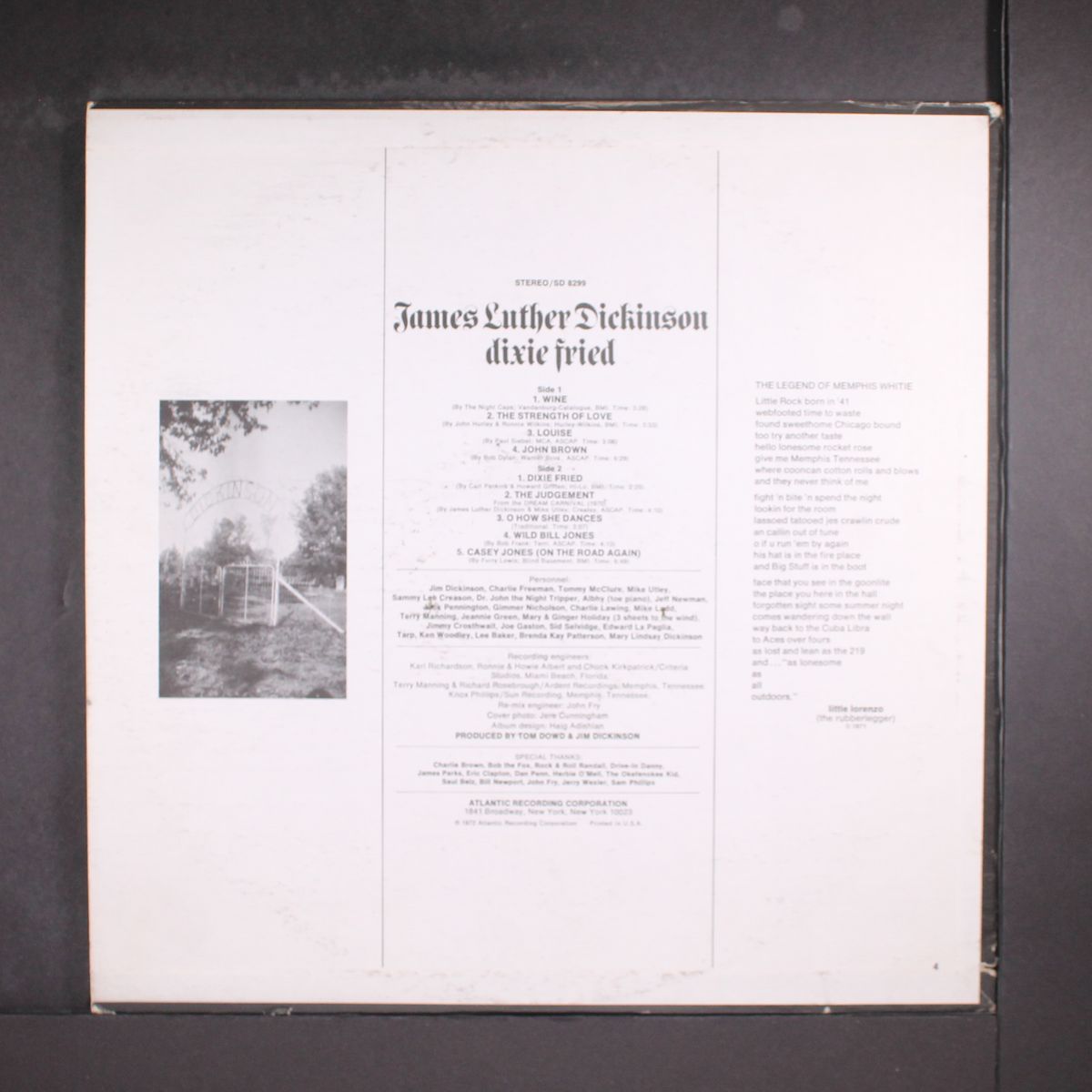 dixie fried by JAMES LUTHER DICKINSON