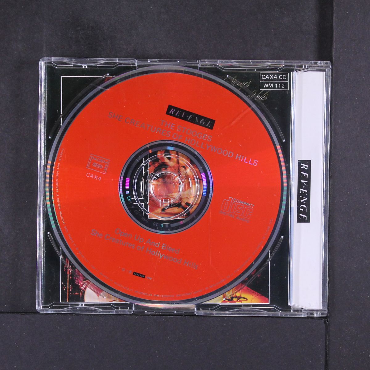 she creatures of the hollywood hills by IGGY & STOOGES