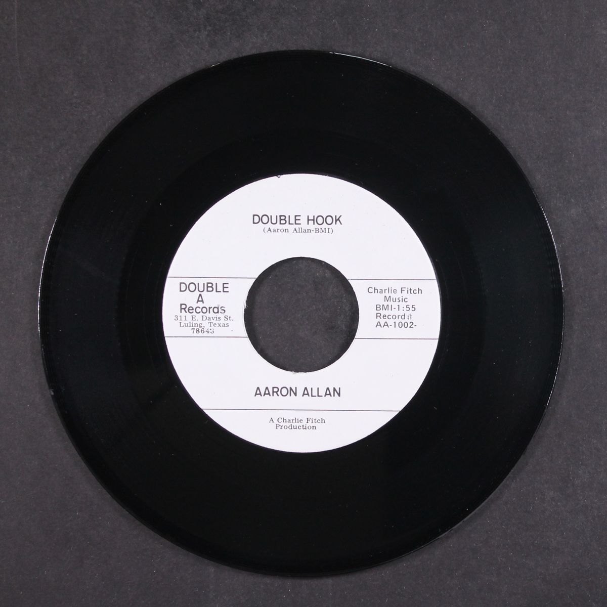 sing her your song willie / double hook by AARON ALLAN