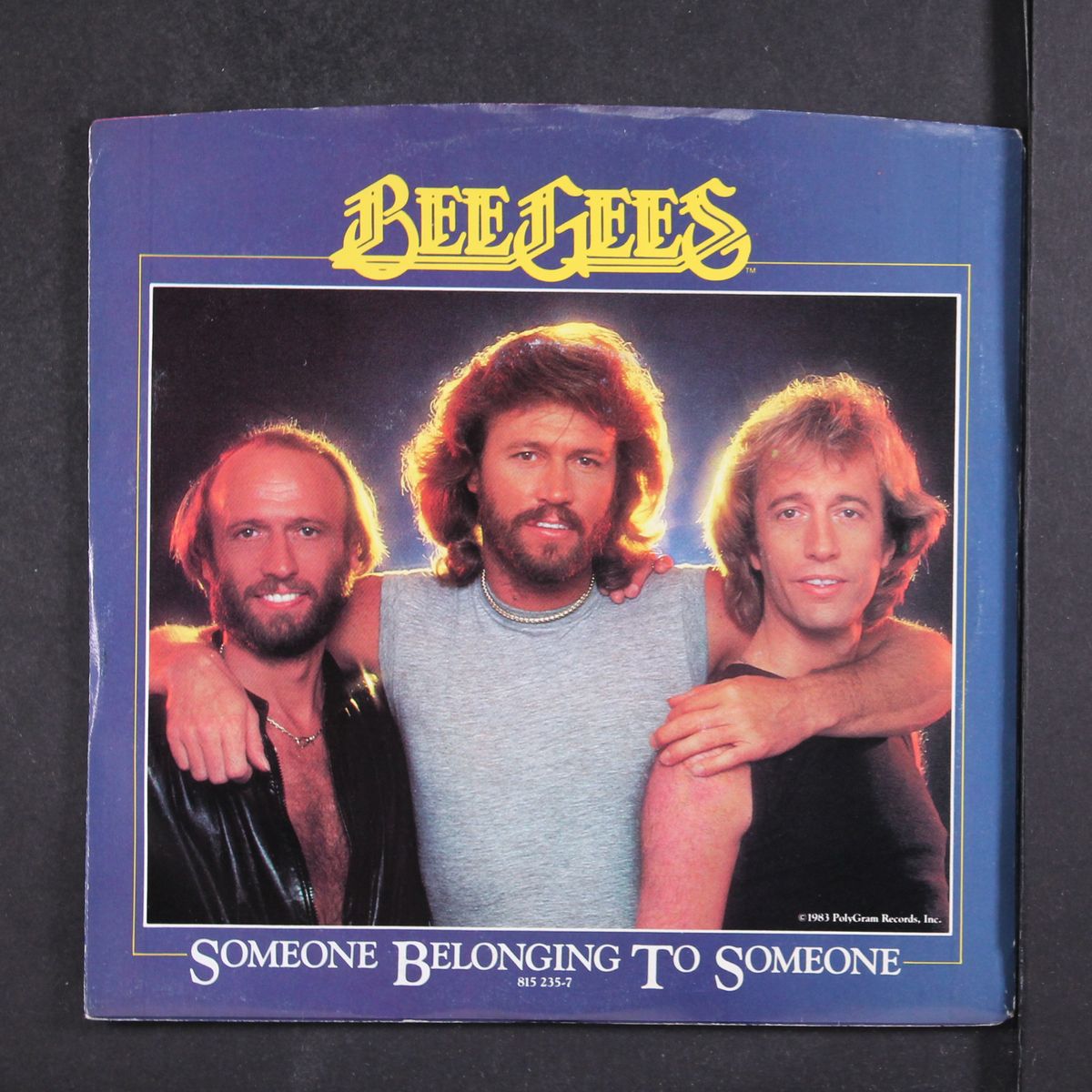 someone belonging to someone / i love you too much instro by BEE GEES