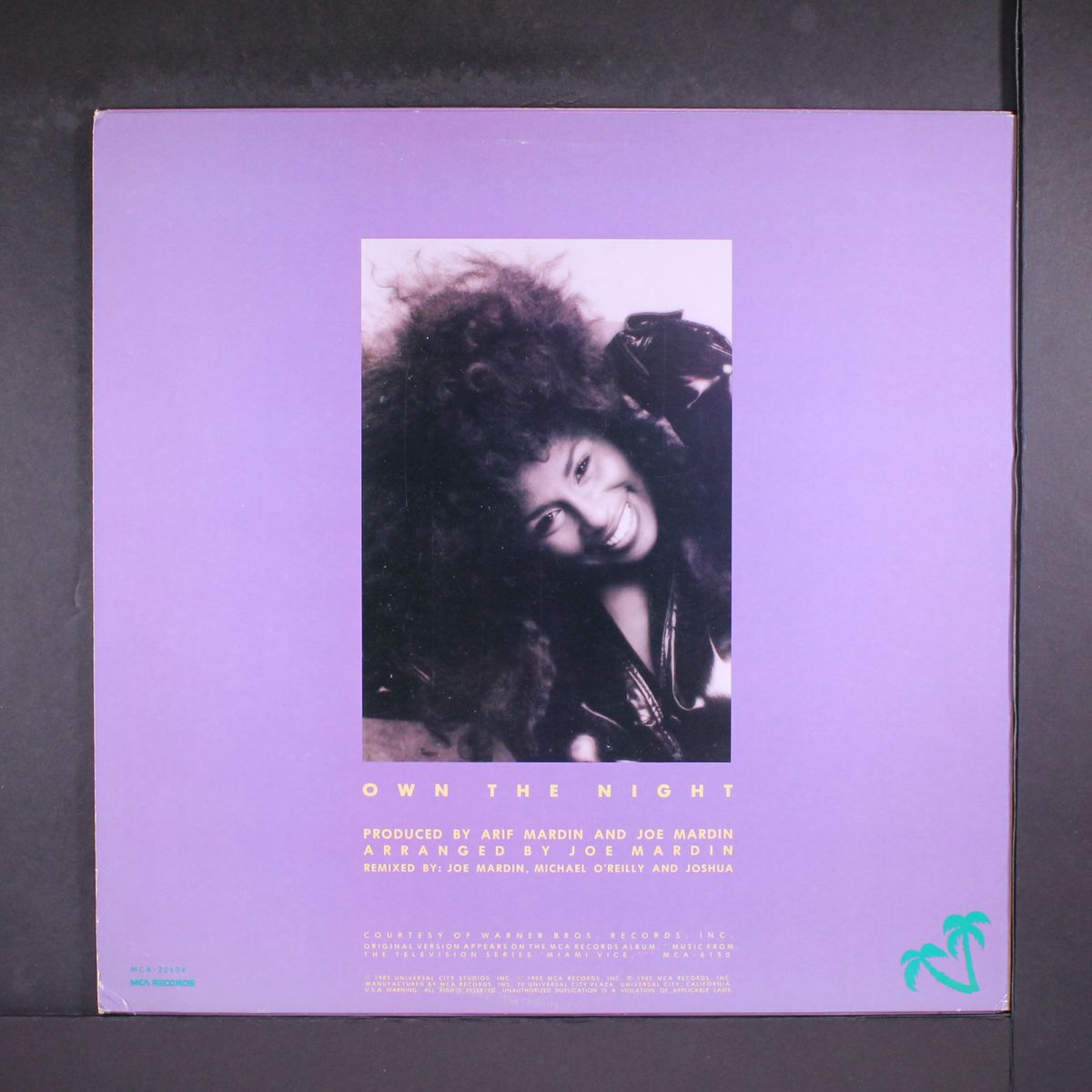 own the night / short & instro by CHAKA KHAN