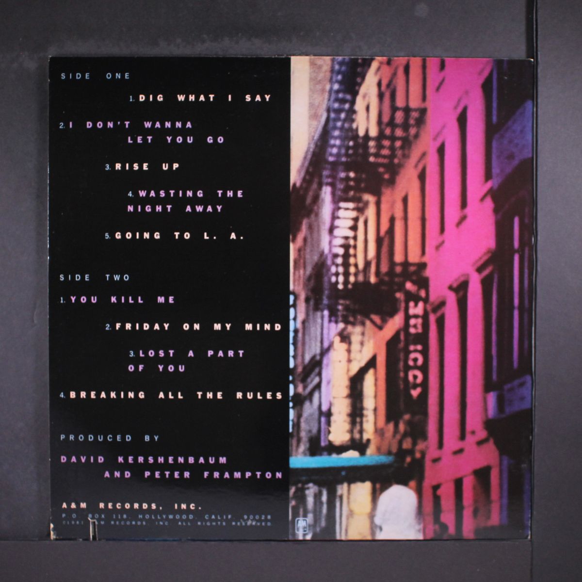 breaking all the rules by PETER FRAMPTON