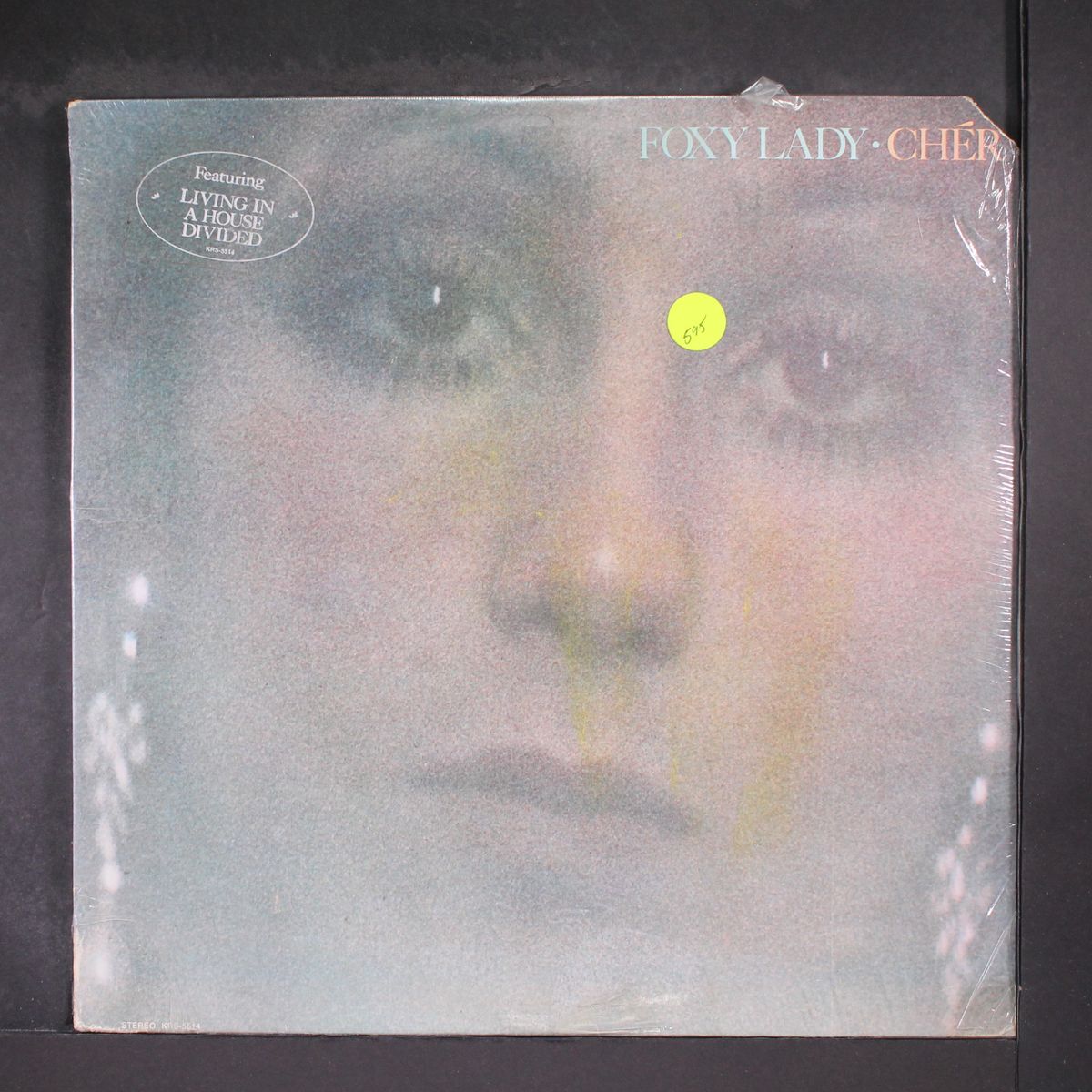 foxy lady by CHER