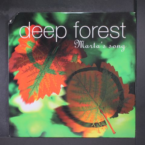 DEEP FOREST