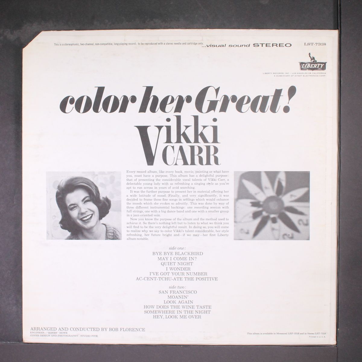 color her great! by VIKKI CARR