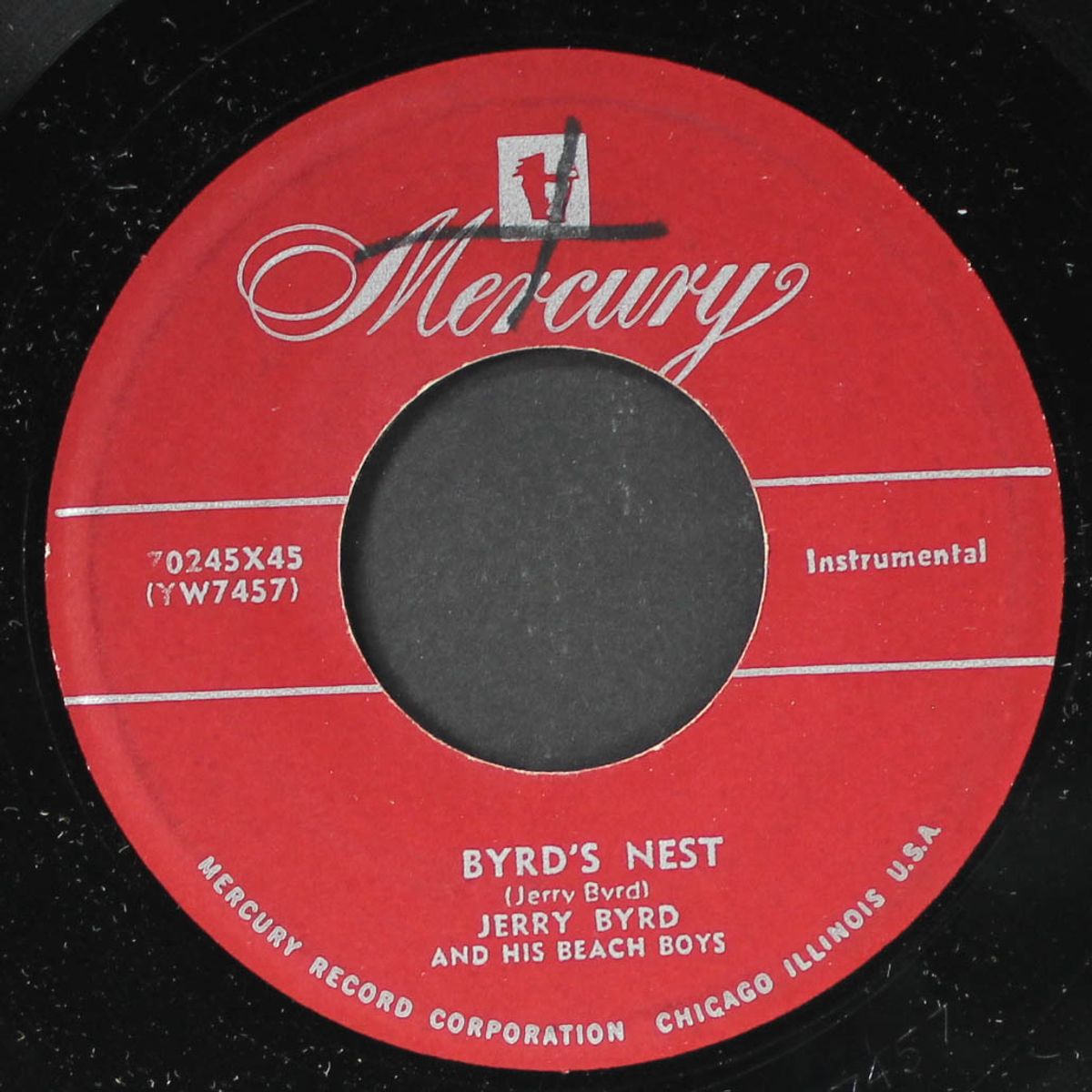 byrd's nest by JERRY BYRD