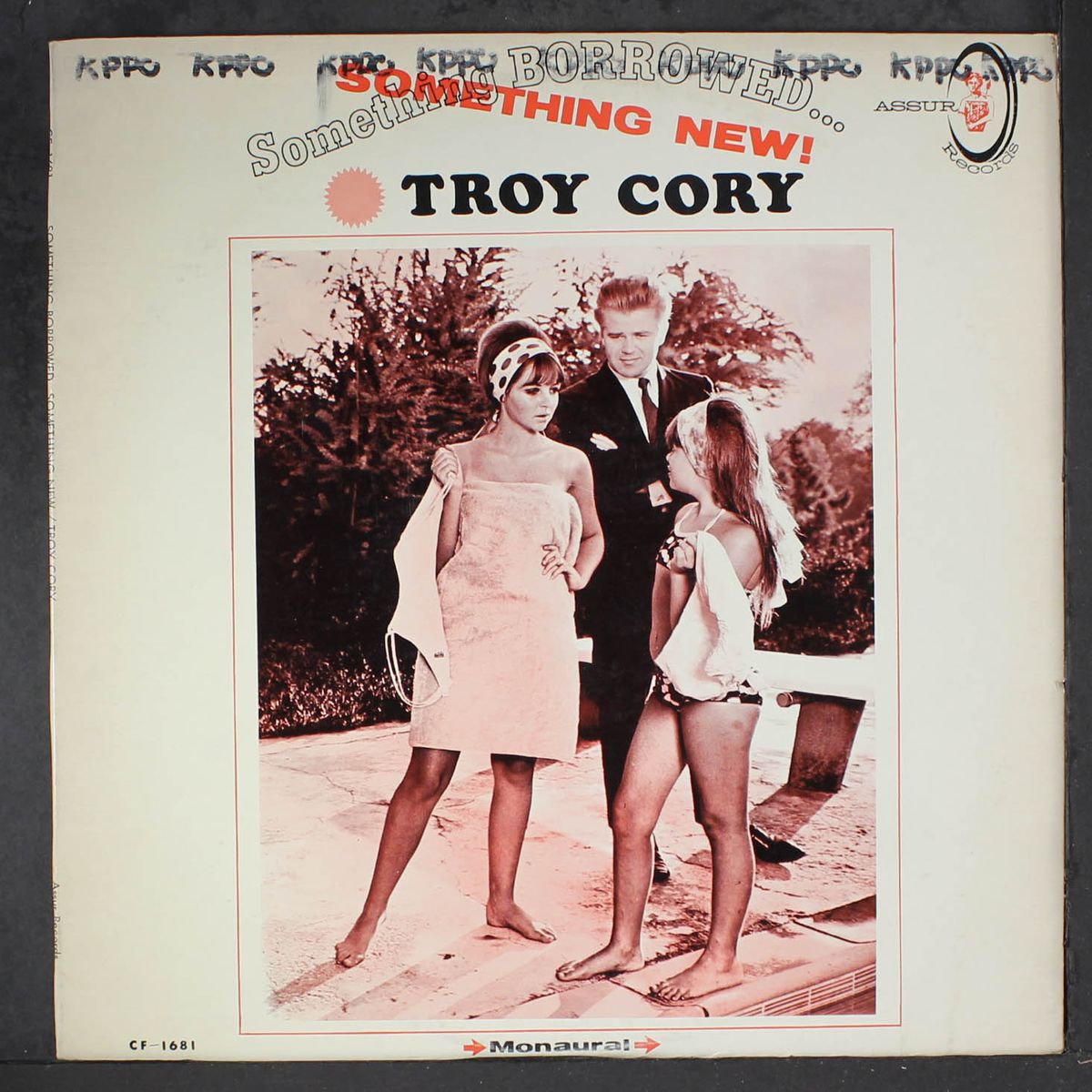 something borrowed...something new by TROY CORY