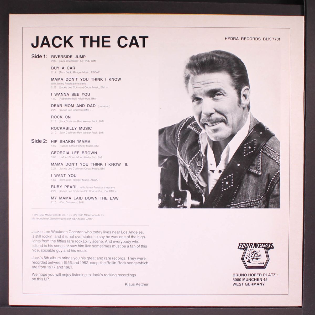 jack the cat by JACKIE LEE COCHRAN