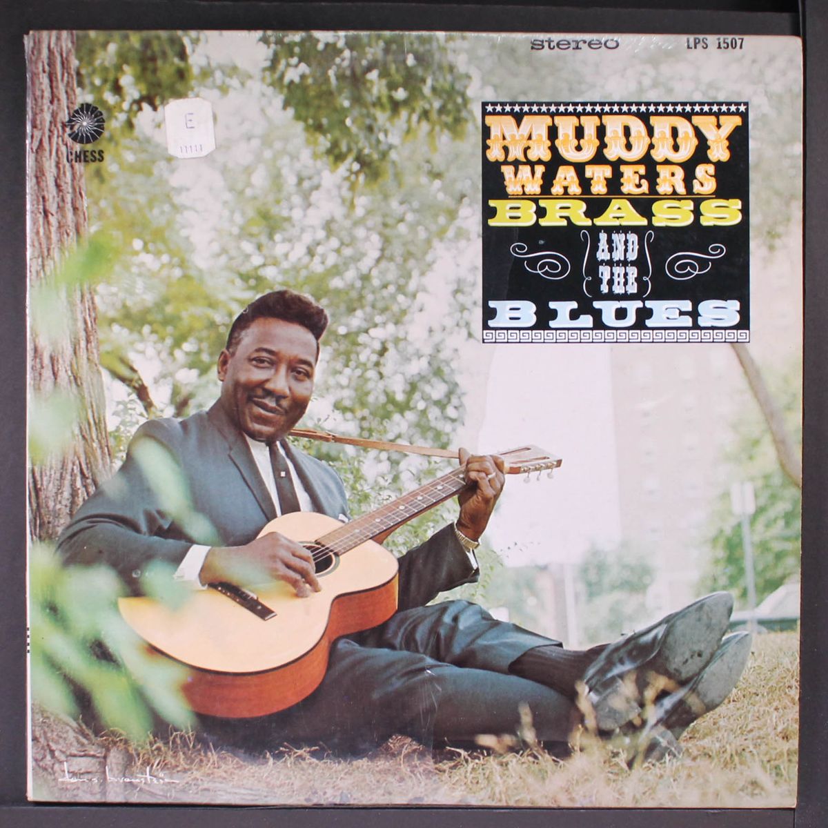 muddy, brass & the blues by MUDDY WATERS