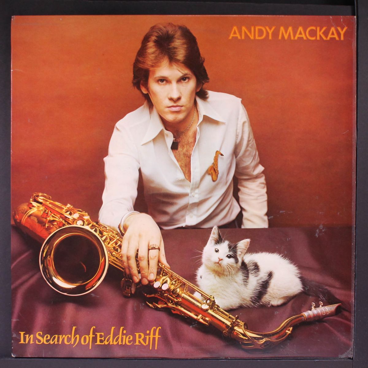 in search of eddie riff by ANDY MACKAY