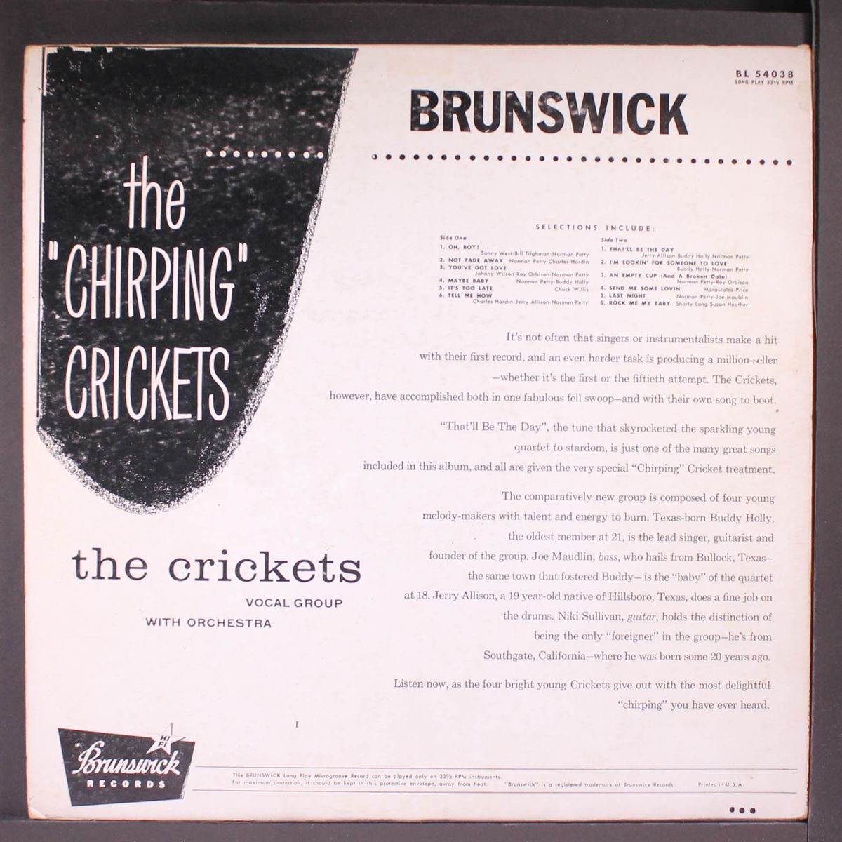 the chirping crickets by CRICKETS
