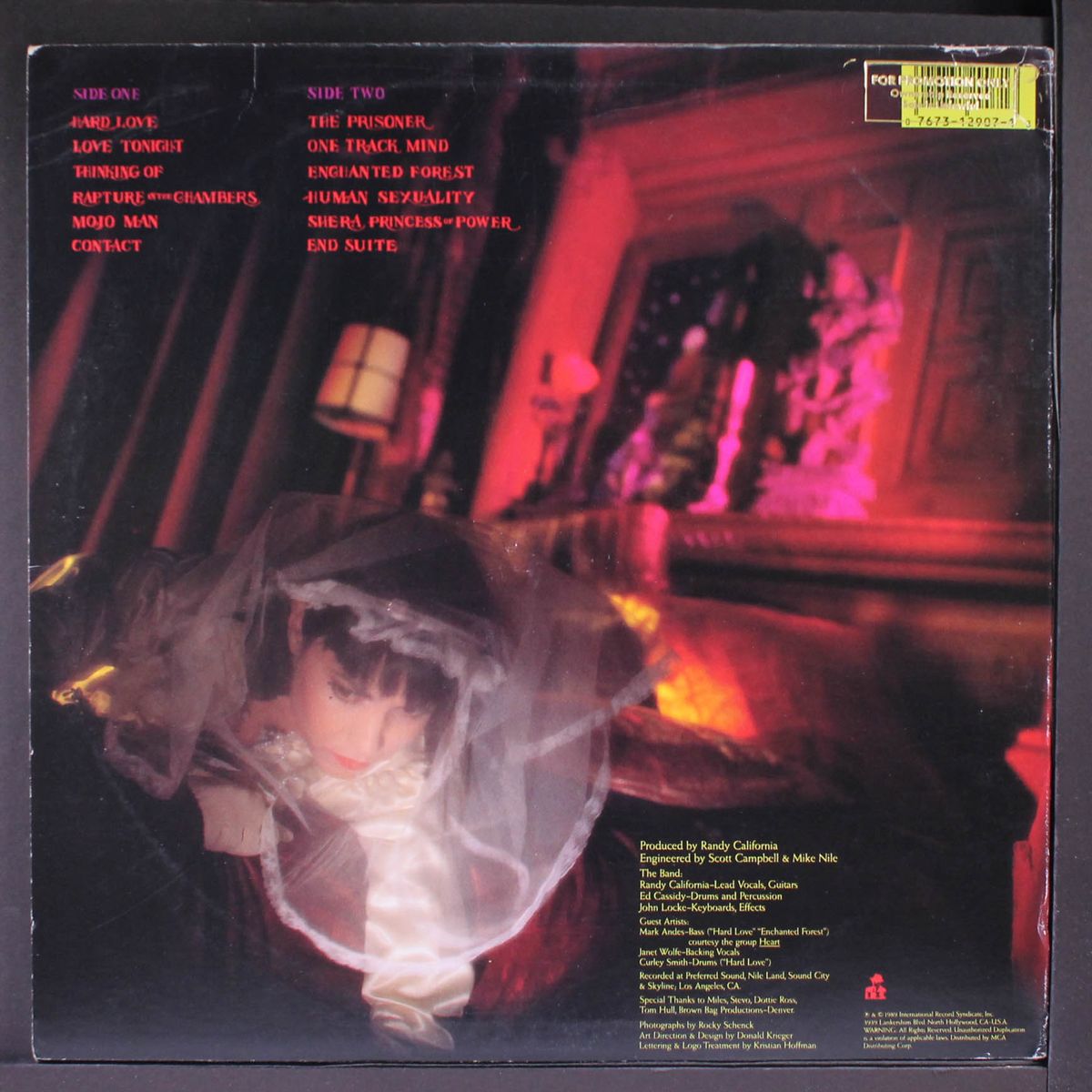 rapture in the chambers by SPIRIT