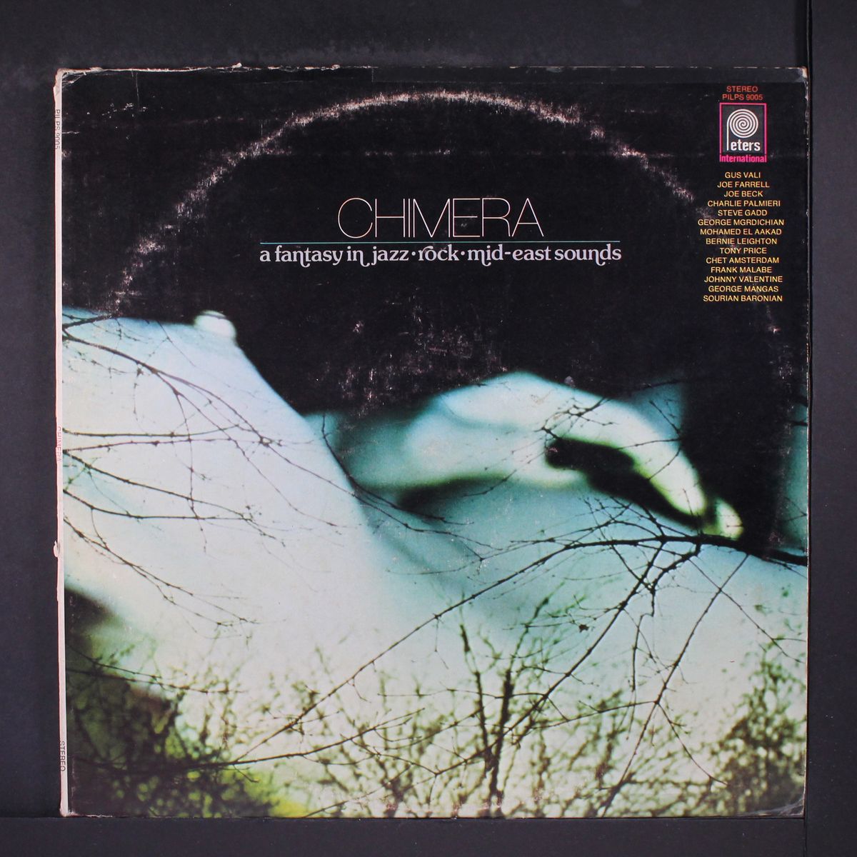 chimera by GUS VALI