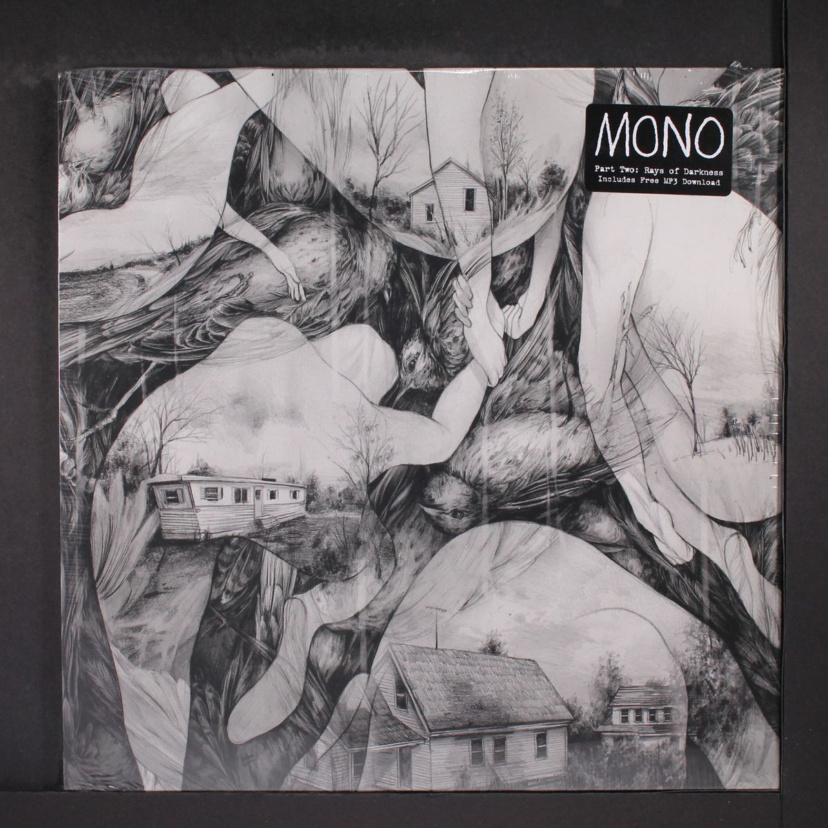 pat two; rays of darkness by MONO