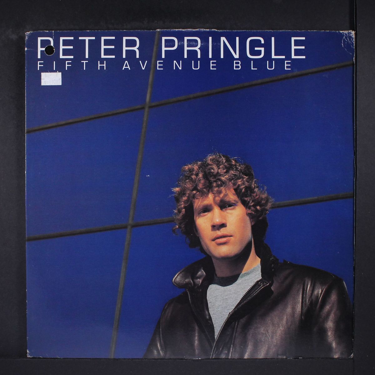 fifth avenue blue by PETER PRINGLE
