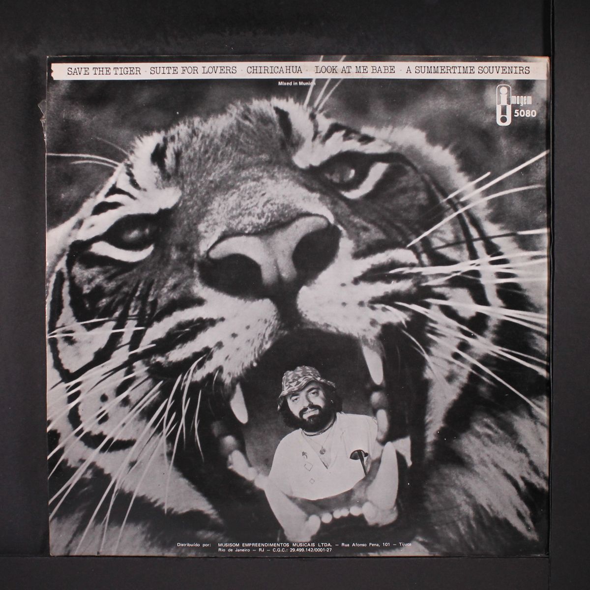 save the tiger by MARSIUS