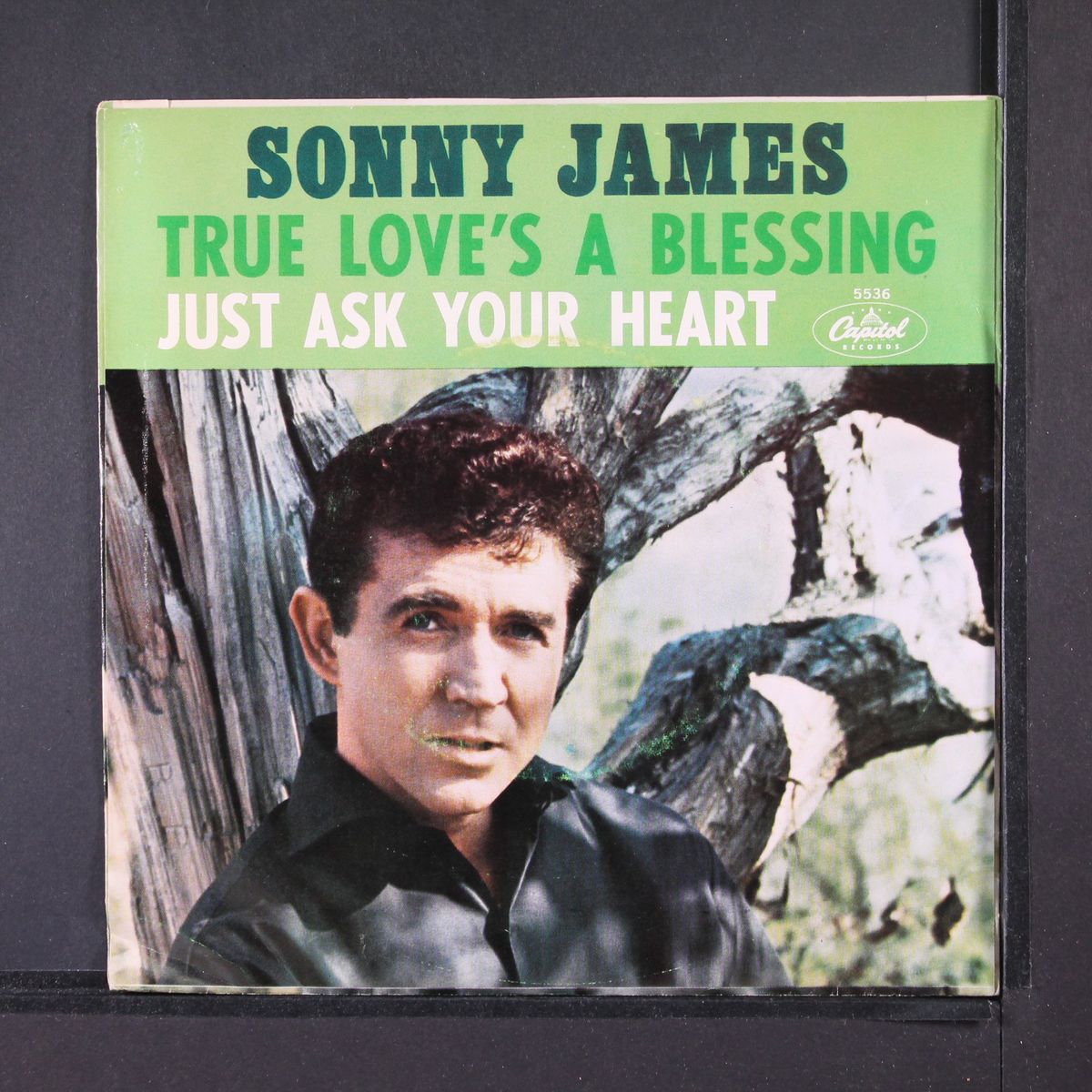 true love's a blessing by SONNY JAMES