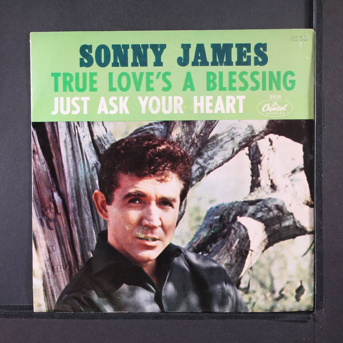 true love's a blessing by SONNY JAMES
