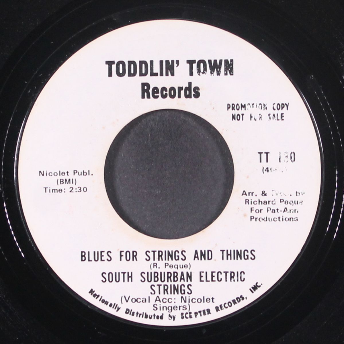 sign of the zodiac / blues for strings and things by SOUTH SUBURBAN ELECTRIC STRINGS