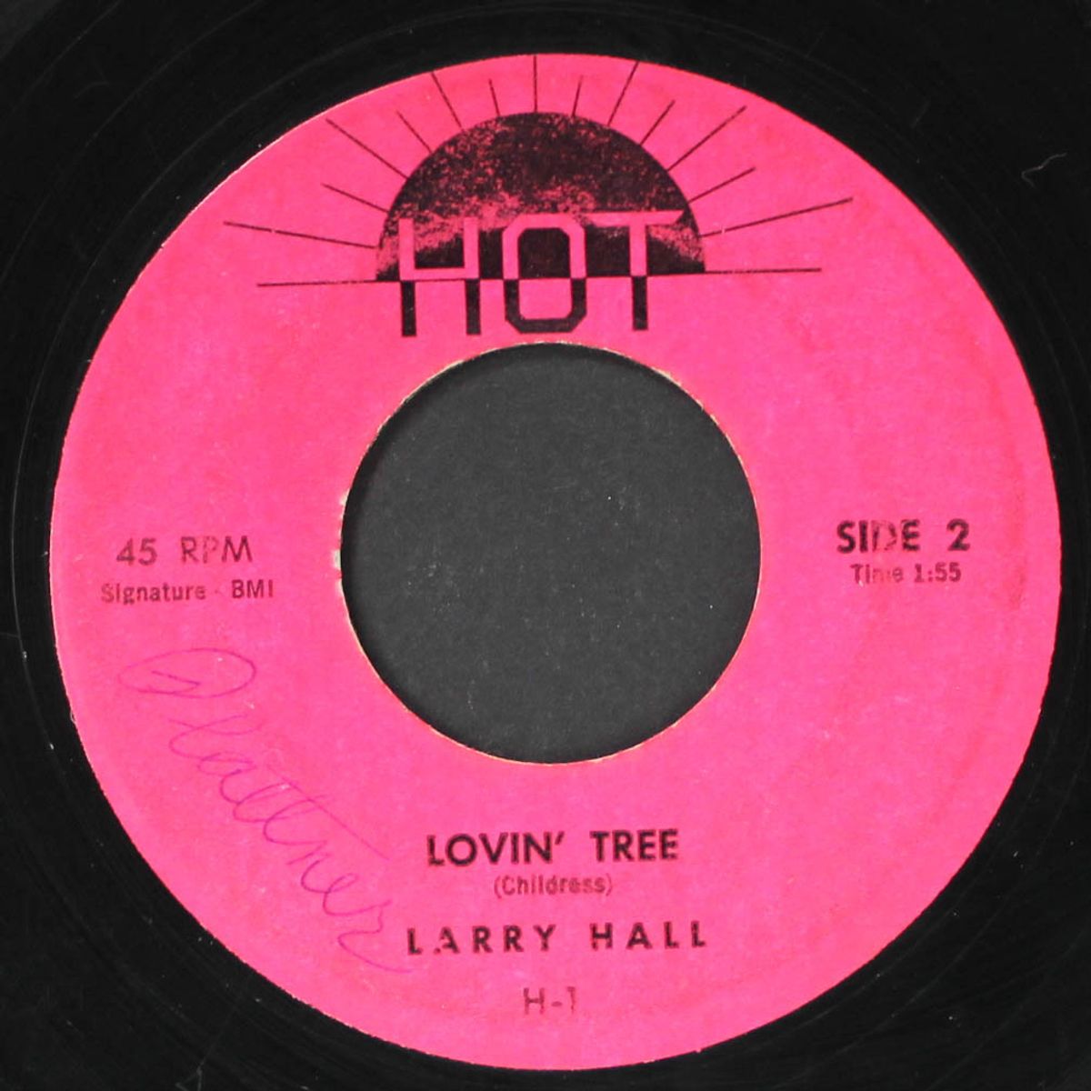 sandy / lovin' tree by LARRY HALL