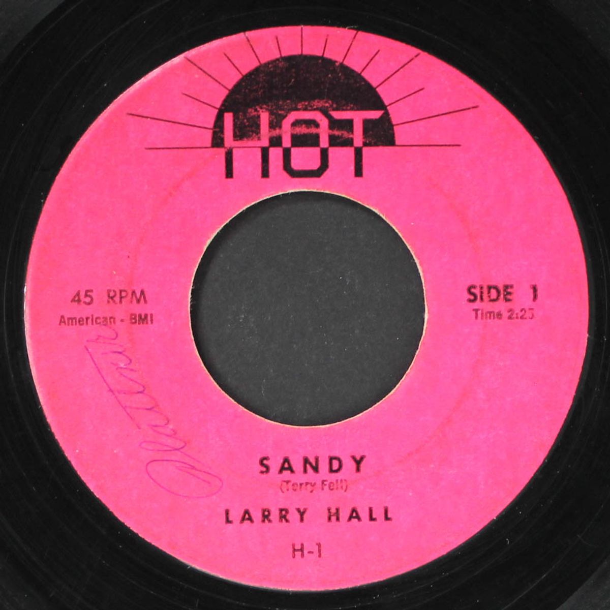 sandy / lovin' tree by LARRY HALL