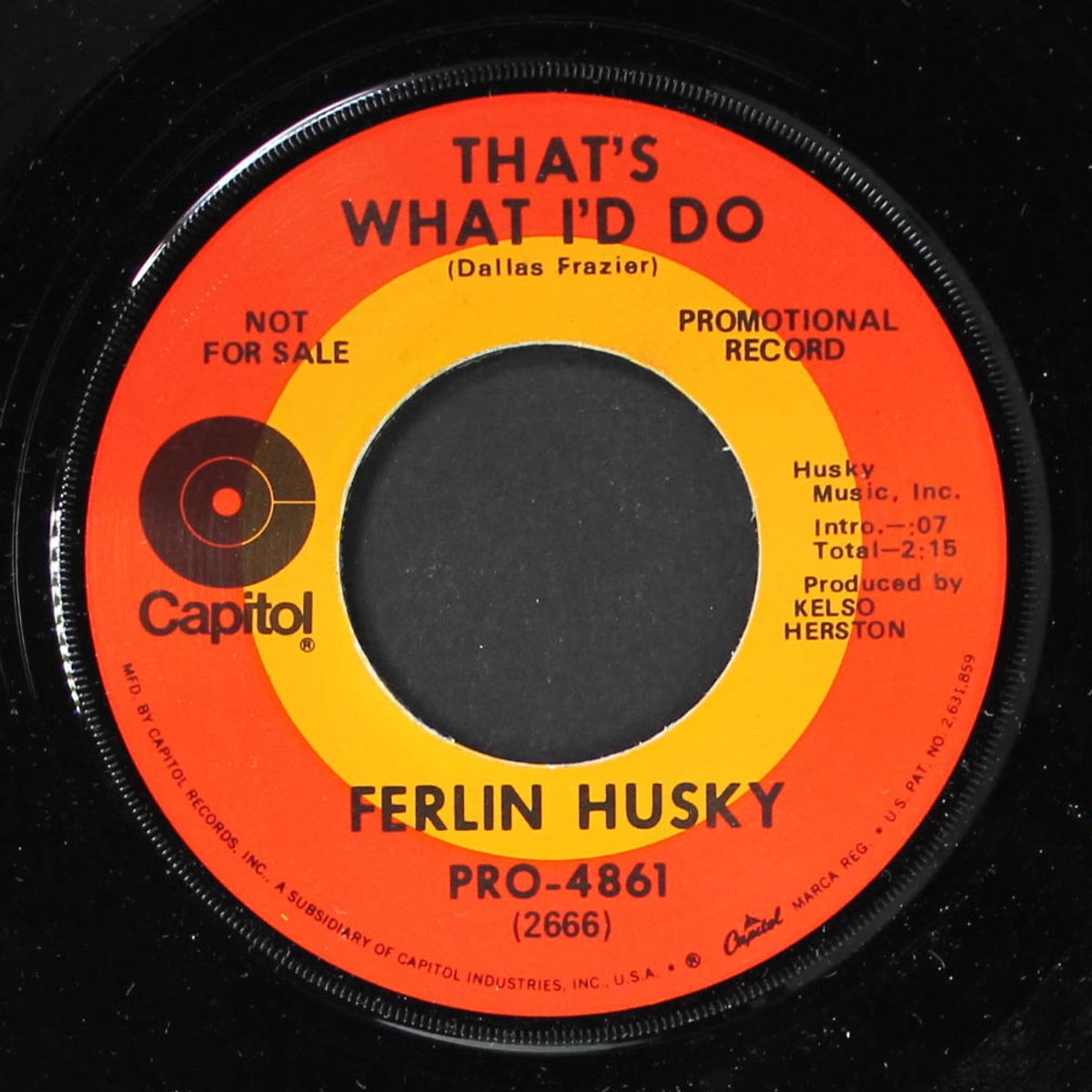 that's what i'd do by FERLIN HUSKY