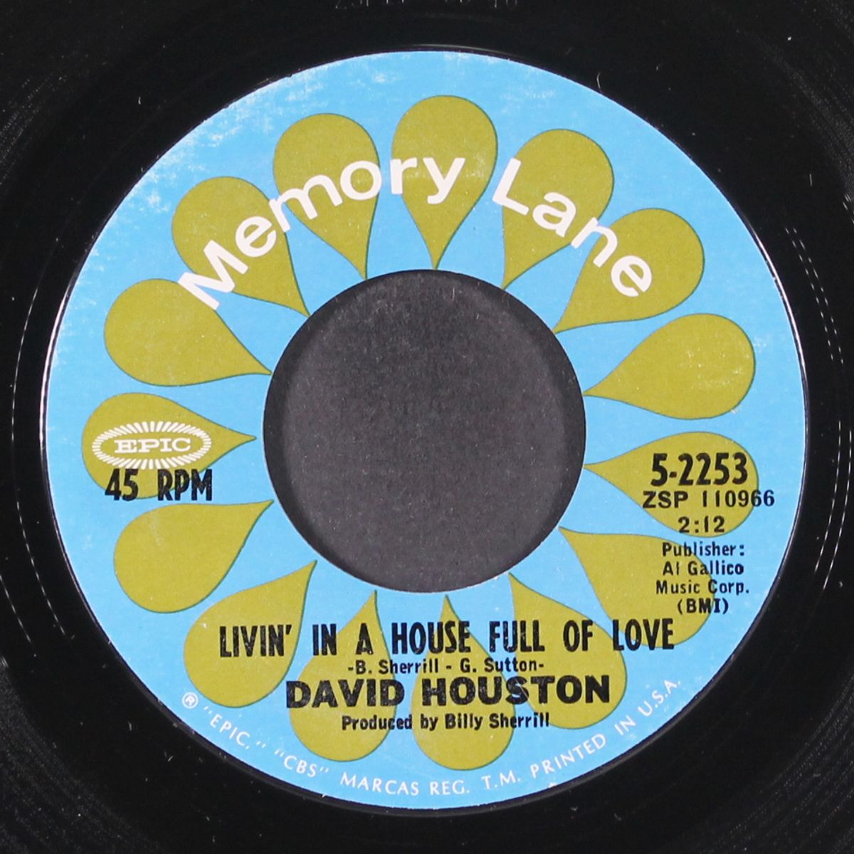 mountain of love / livin' in a house full of love by DAVID HOUSTON