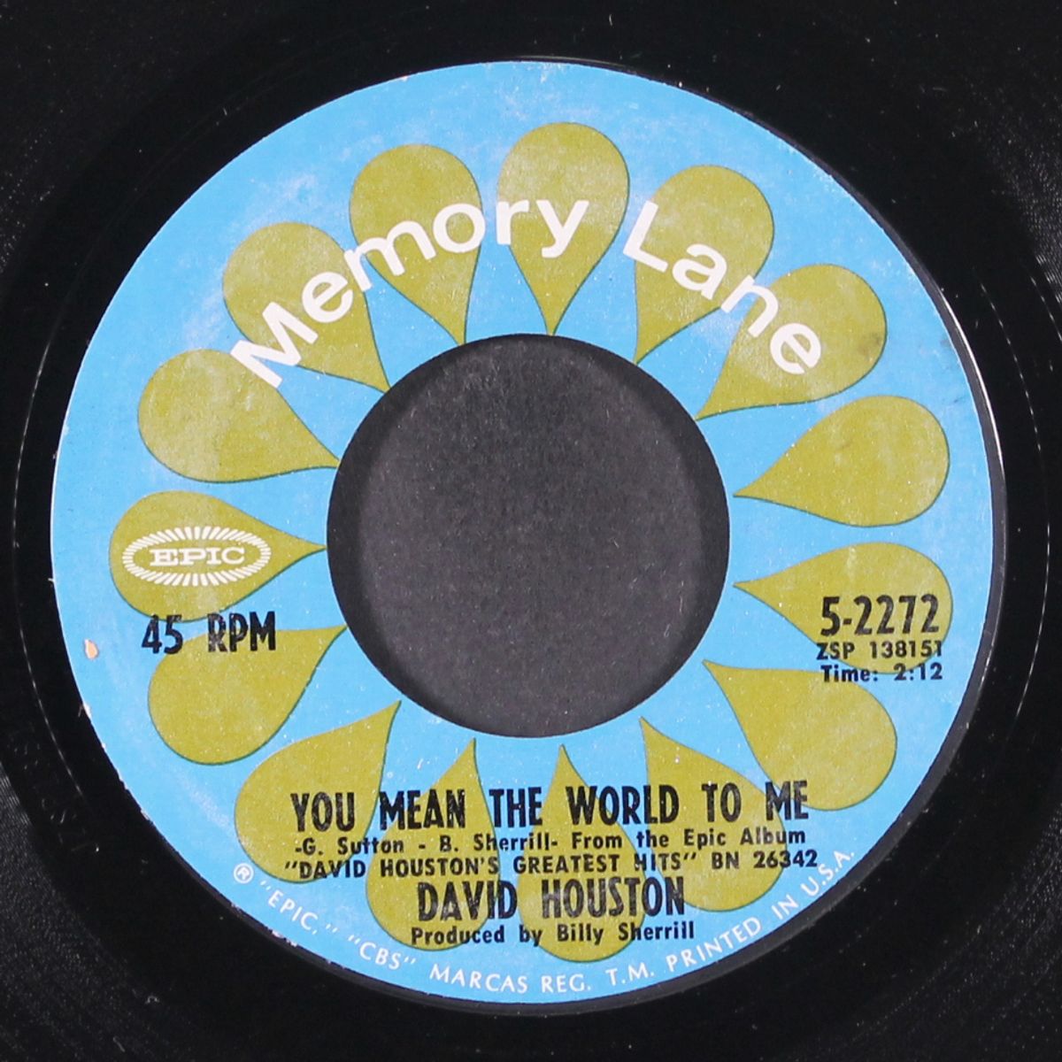 you mean the world to me / have a little faith by DAVID HOUSTON