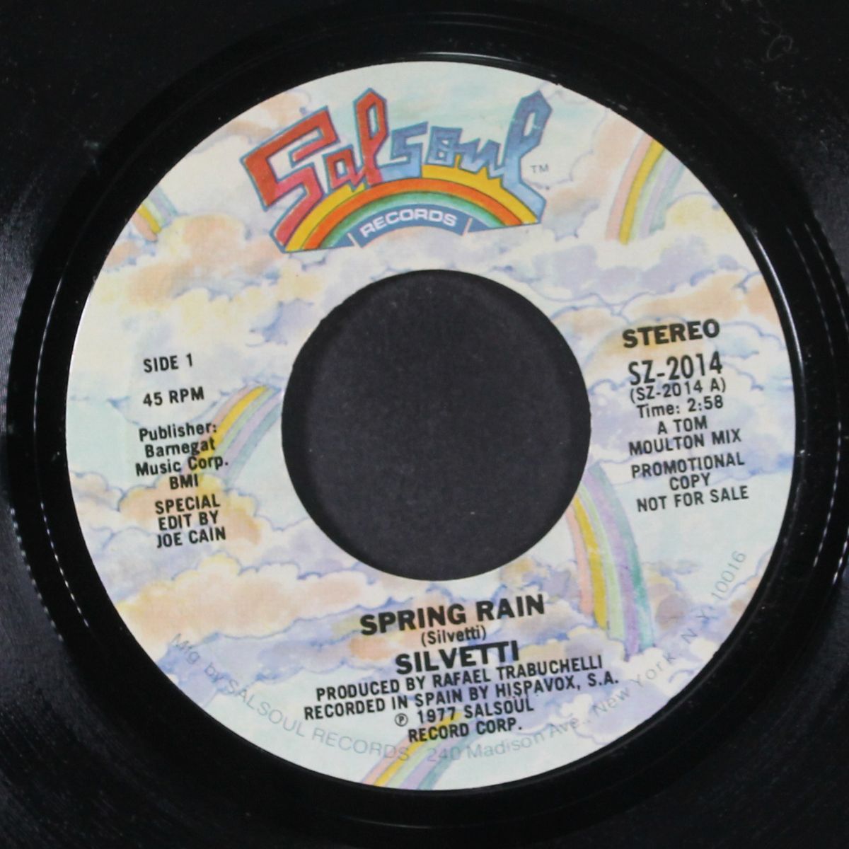 spring rain / spring rain by SILVETTI