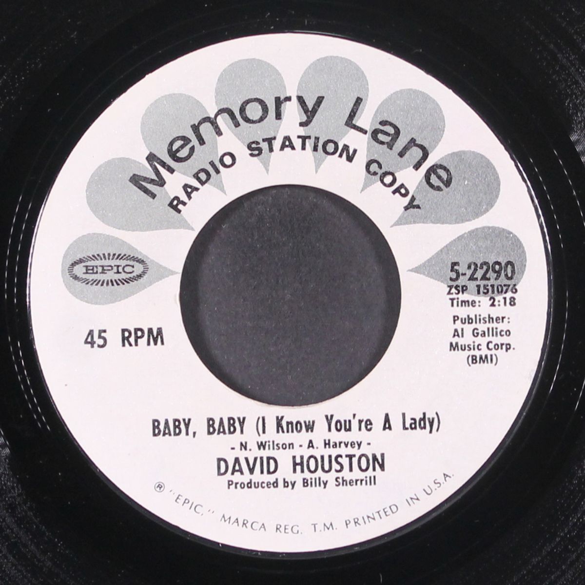 baby, baby (i know you're a lady) by DAVID HOUSTON