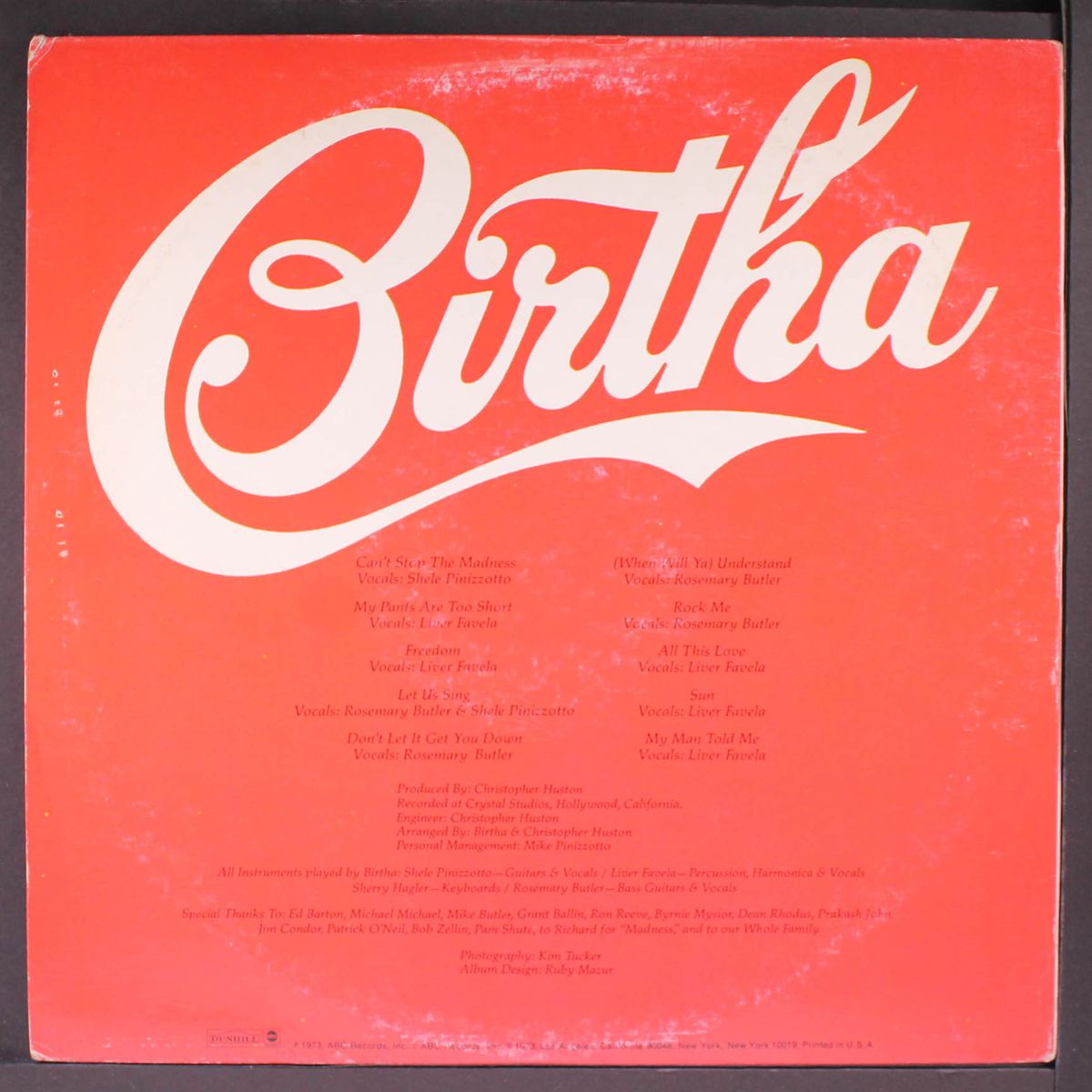 can't stop the madness by BIRTHA