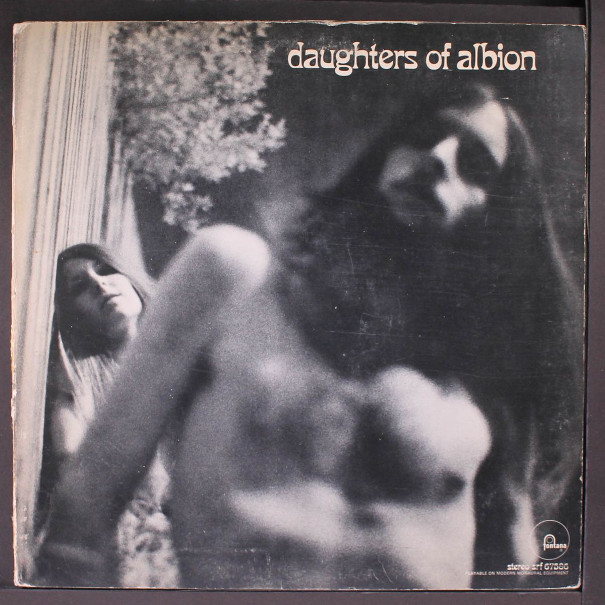 the daughters of albion by DAUGHTERS OF ALBION