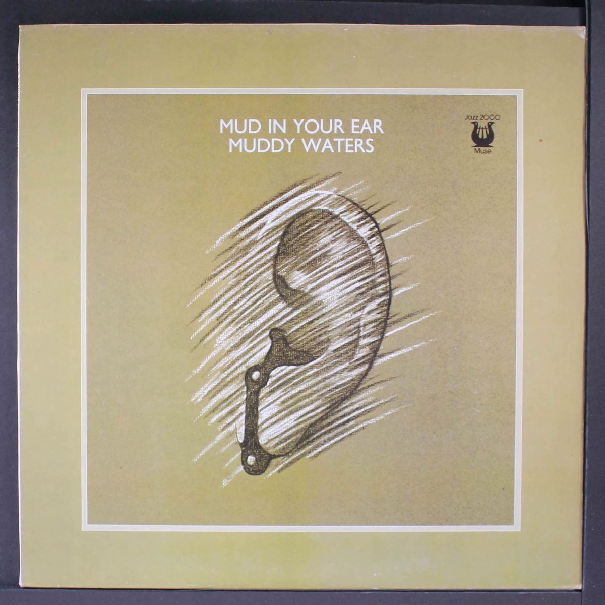 mud in your ear by MUDDY WATERS