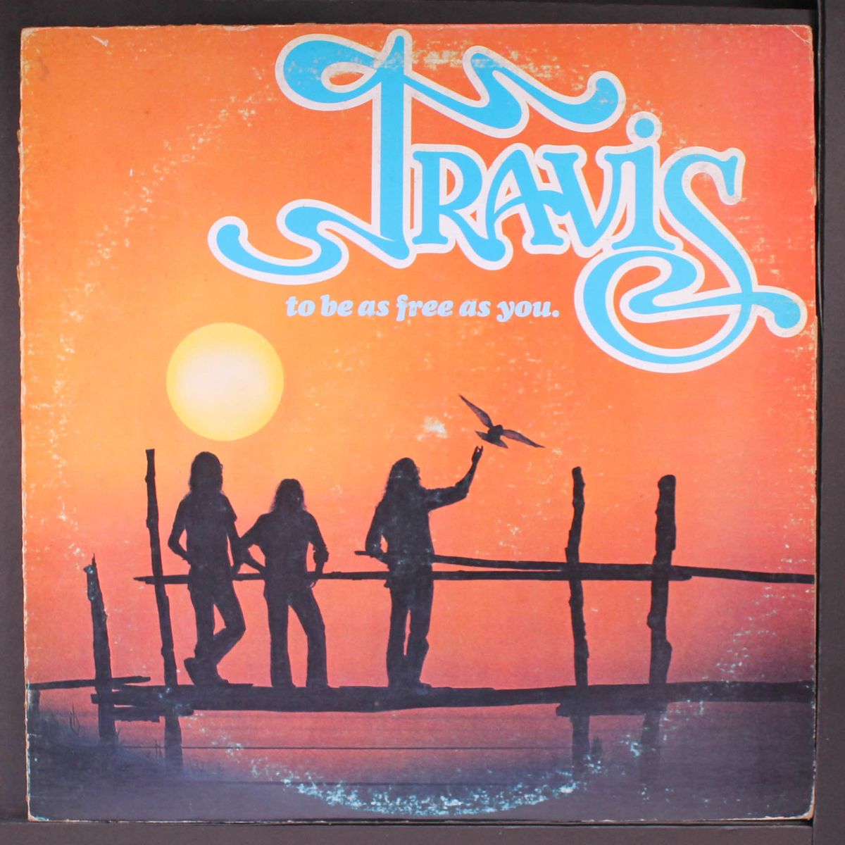 to be as free as you by TRAVIS