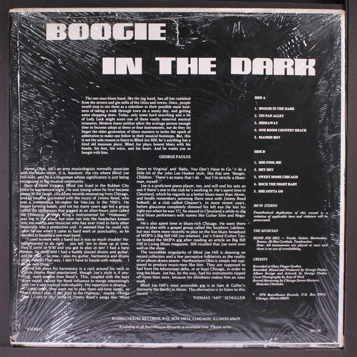 boogie in the dark by BLIND JOE HILL