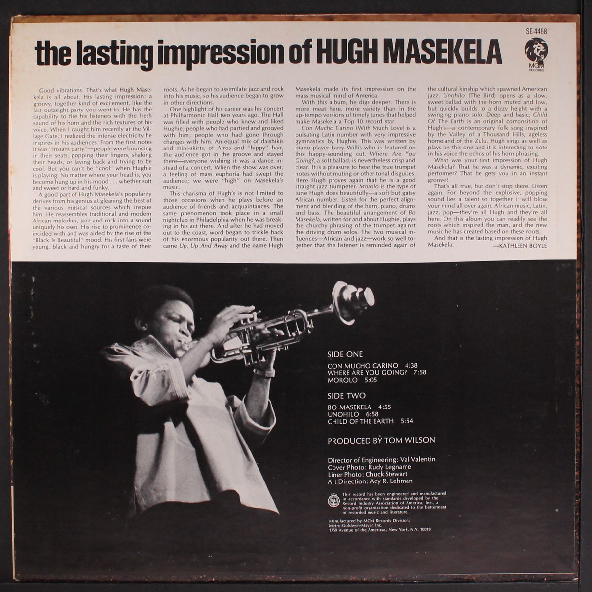the lasting impression of... by HUGH MASEKELA