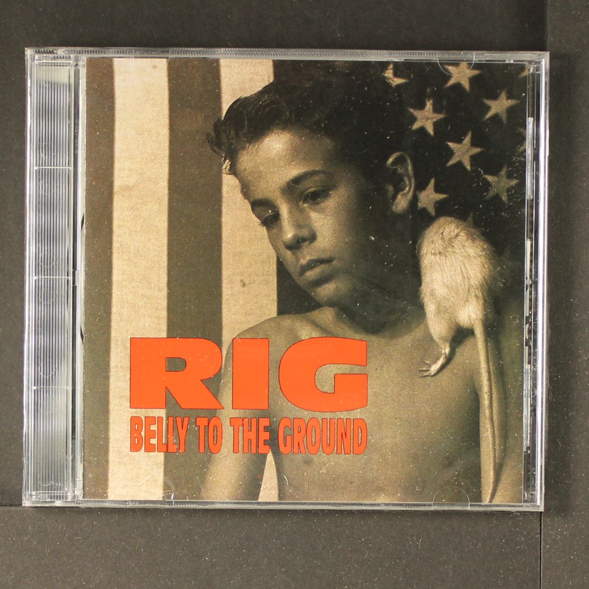 belly to the ground by RIG
